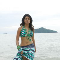 Shraddha Das - Shraddha Das in bikini hot pictures | Picture 63714